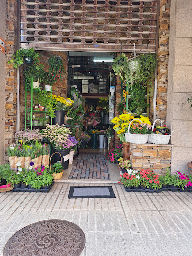 Xardin floreria A Alameda Milladoiro