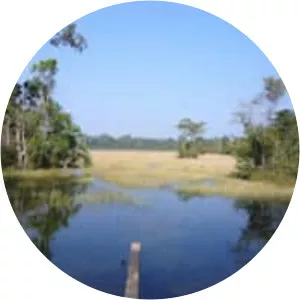 Xe Pian National Bio-Diversity Conservation Area - 