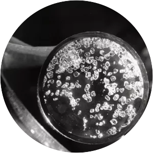 Xenon tetrafluoride - Chemical compound
