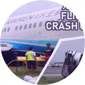Xiamen Airlines Flight 8667 - Flight incident