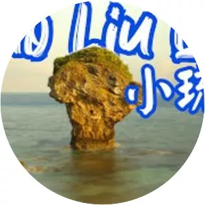 Xiao Xiao Liu - Actress