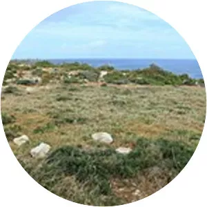 Xrobb l-Għaġin Temple