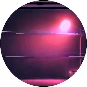 Xtract - Musical artist