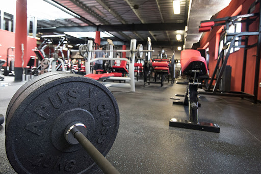 Xtreme Fitness Brzesko - Gym in Brzesko, Poland