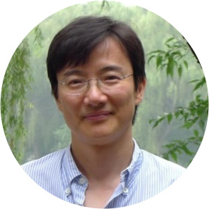 Xudong Zhang - Higher education teacher