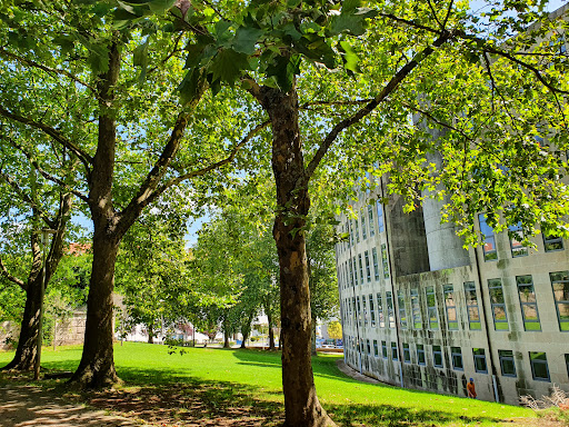 Xulgado de Primeira Instancia