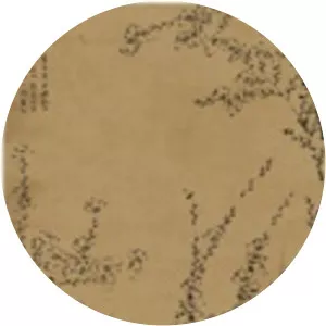 Xun Jiao - Mathematician