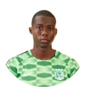 Y. A. Velásquez Palacios