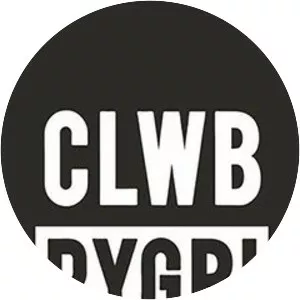 Y Clwb Rygbi