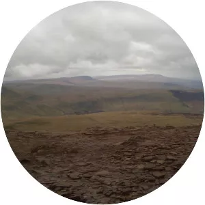 Y Gyrn - Summit in Wales