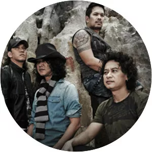 Y Not 7 - Musical group