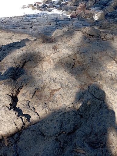 Yacimiento de icnitas de Dinosaurios