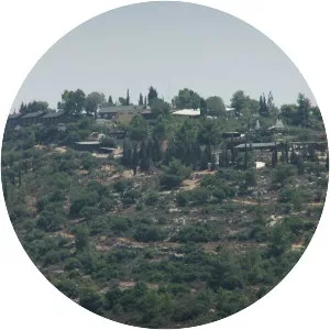 Yad HaShmona
