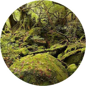 Yakushima