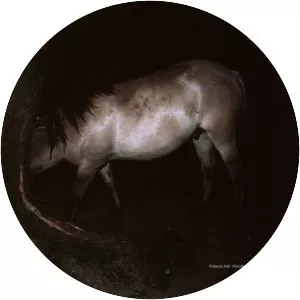 Yaleesa Hall - Musical artist