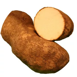 Yam - Plants