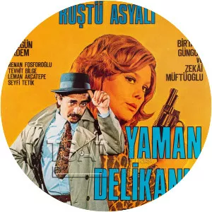 Yaman Delikanlı - 1976 film
