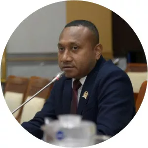 Yan Permenas Mandenas