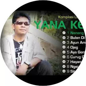 Yana Kermit - Musical artist