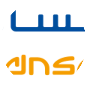 Yanbu National Petrochemicals Cmpny SJSC photograph