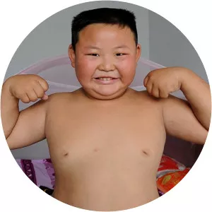 Yang Jinlong - Chinese Researcher