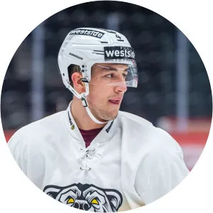 Yannick Hänggi - Ice hockey player