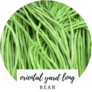 Yardlong bean - Legume
