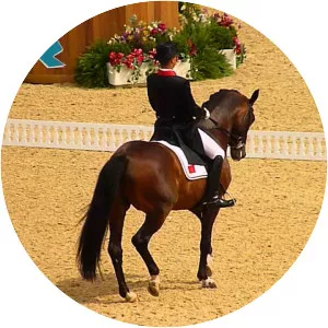 Yessin Rahmouni - Moroccan equestrian