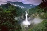 Yasuni National Park - National park