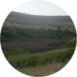 Yavneel stream - Stream in Israel