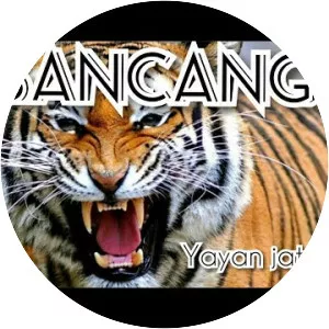 Yayan Janika - Musical artist