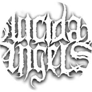 Years Of Aggression - Album by Suicidal Angels