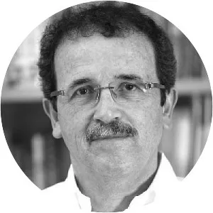 Yedidia Z. Stern - Israeli writer