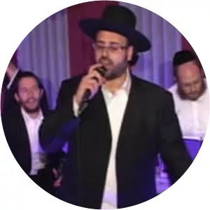 Yeedle Werdyger - American singer