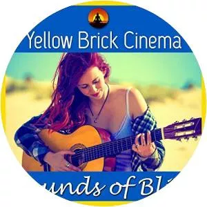 Yellow Brick Cinema - Musical artist