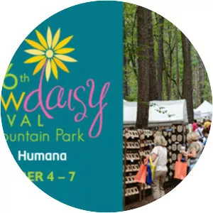 Yellow Daisy Festival - 