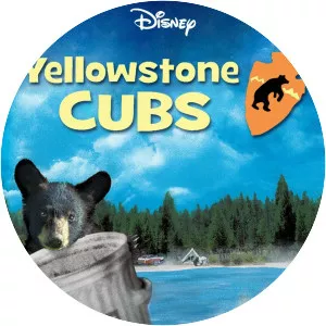 Yellowstone Cubs