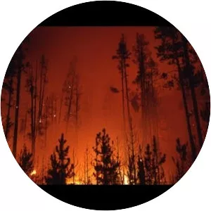 Yellowstone fires of 1988