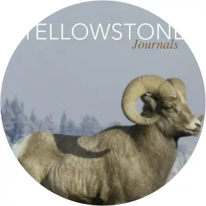 Yellowstone Journals - TV program