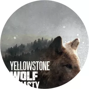 Yellowstone Wolf DynastySince 2018