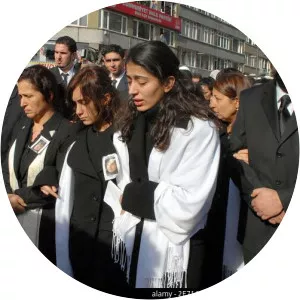 Yervant Dink - Hrant Dink's brother