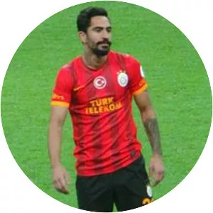 Yiğit Gökoğlan