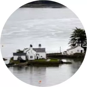 Ynys Gored Goch - Island in the United Kingdom