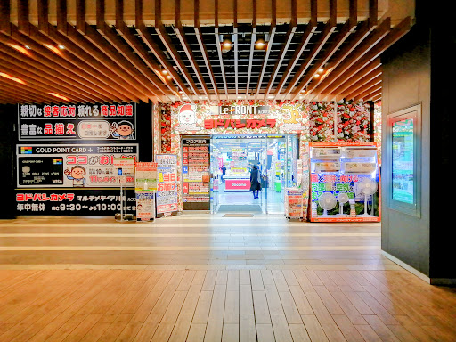 Yodobashi Camera Multimedia Kawasaki LeFront - 