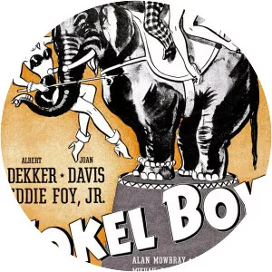 Yokel Boy - 1942 ‧ 1h 9m