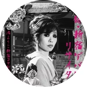 Yoko Nagisa Musician