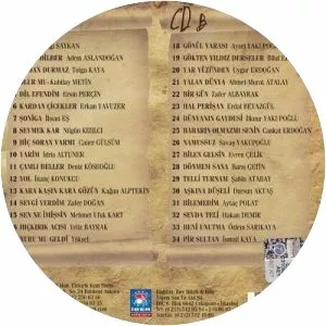 Yola Yoldaş Olanlar