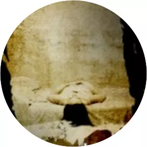 Yoldaki kedi (Yoldaki Kedi)