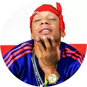 Yomel El Meloso - Musical artist