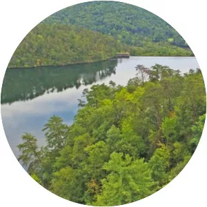 Yonah Lake - Lake in the United States of America